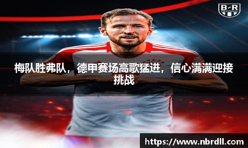 熊猫体育官方app